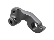 Derailleur Hanger 2024 2025