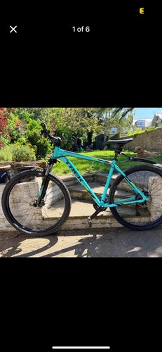Trek marlin mountain bike - marlin, 7